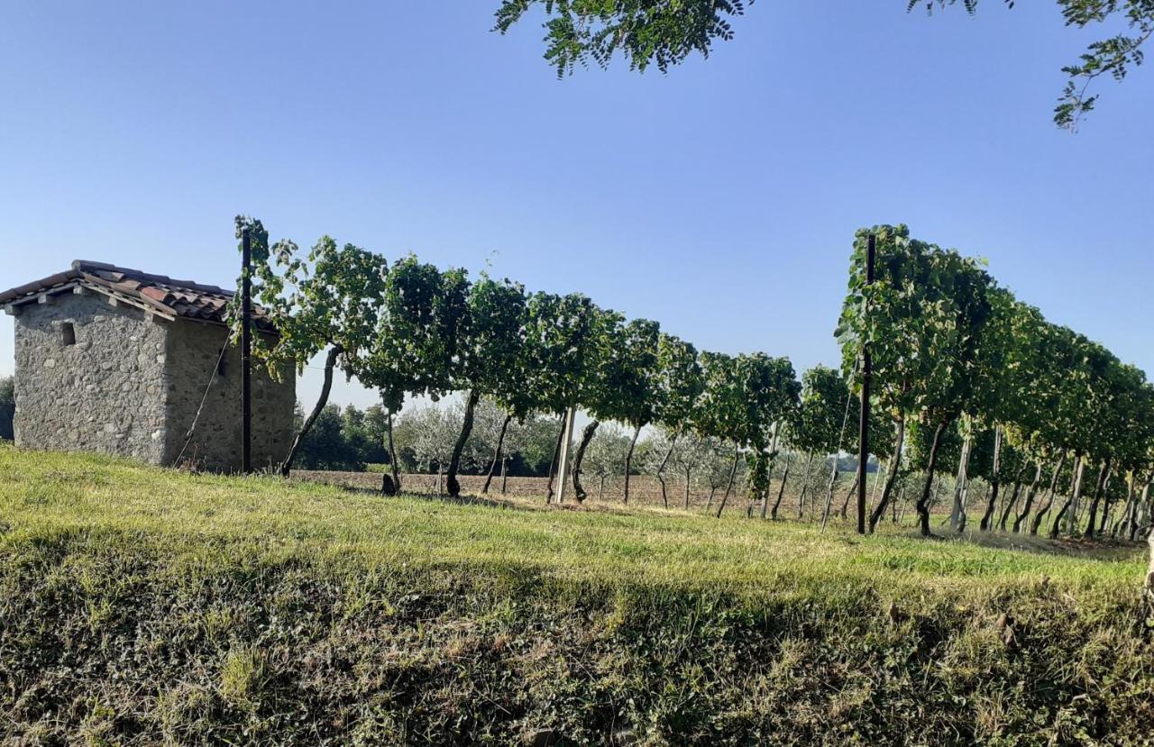 Vicolo Del Nido B&B Paderno Franciacorta Exteriör bild