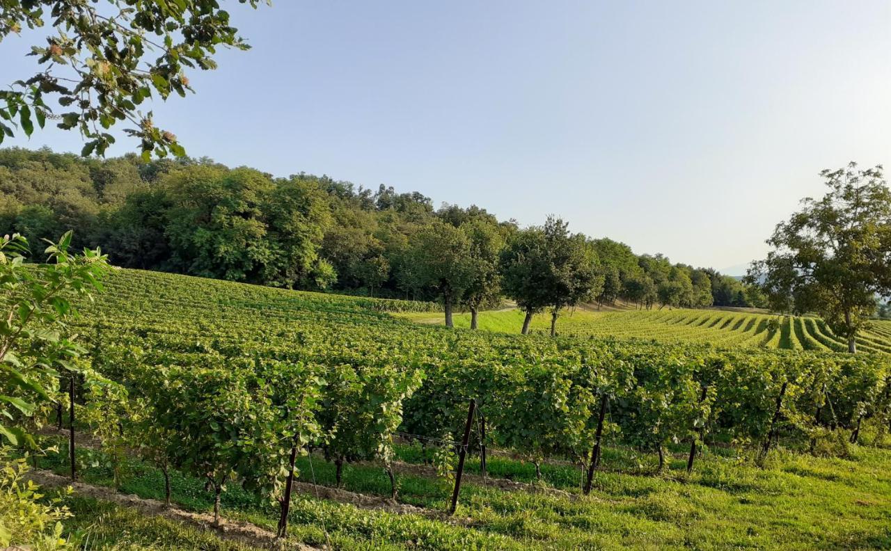 Vicolo Del Nido B&B Paderno Franciacorta Exteriör bild
